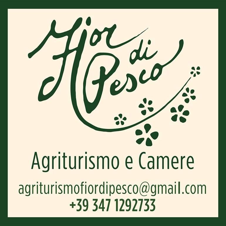Agriturismo Fior Di Pesco Hotel Sommacampagna Buitenkant foto